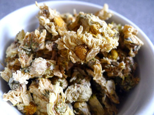 Chrysanthemum - McNulty's Tea & Coffee Co., Inc.