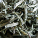 Flowery White Pekoe - McNulty's Tea & Coffee Co., Inc.